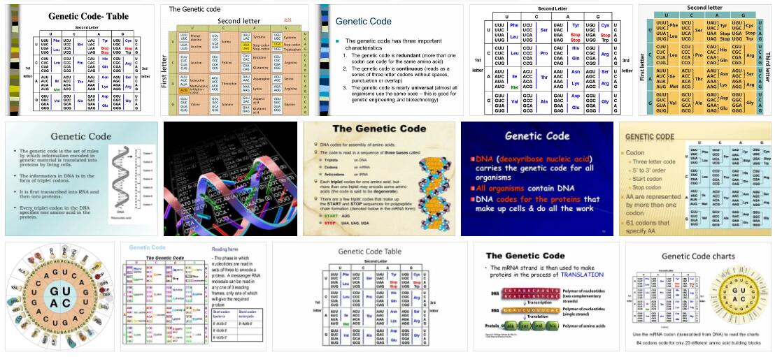 Genetic Code